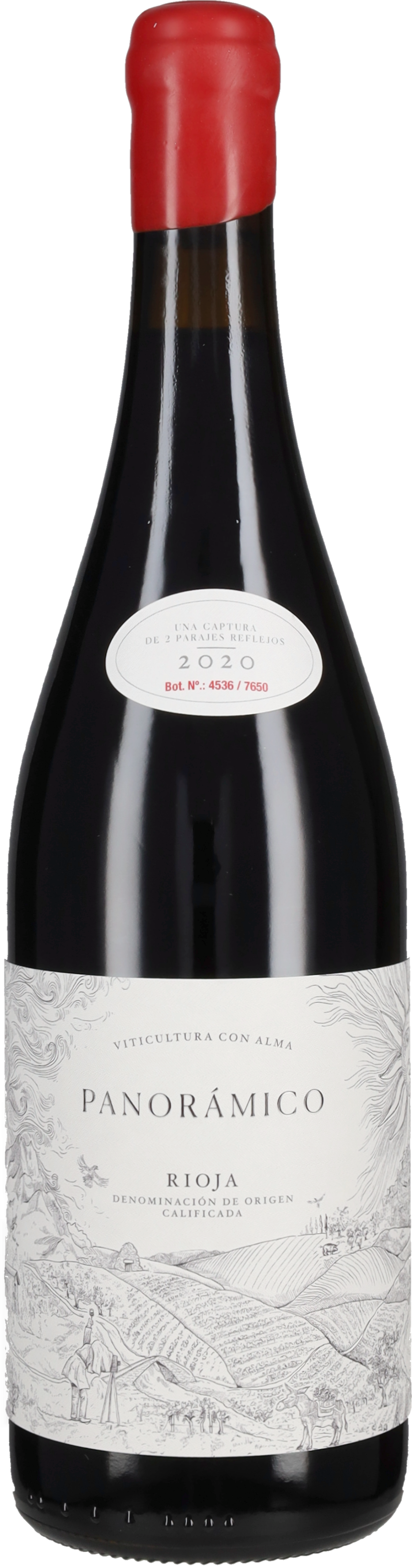 Rioja Tinto Panoramico 2020