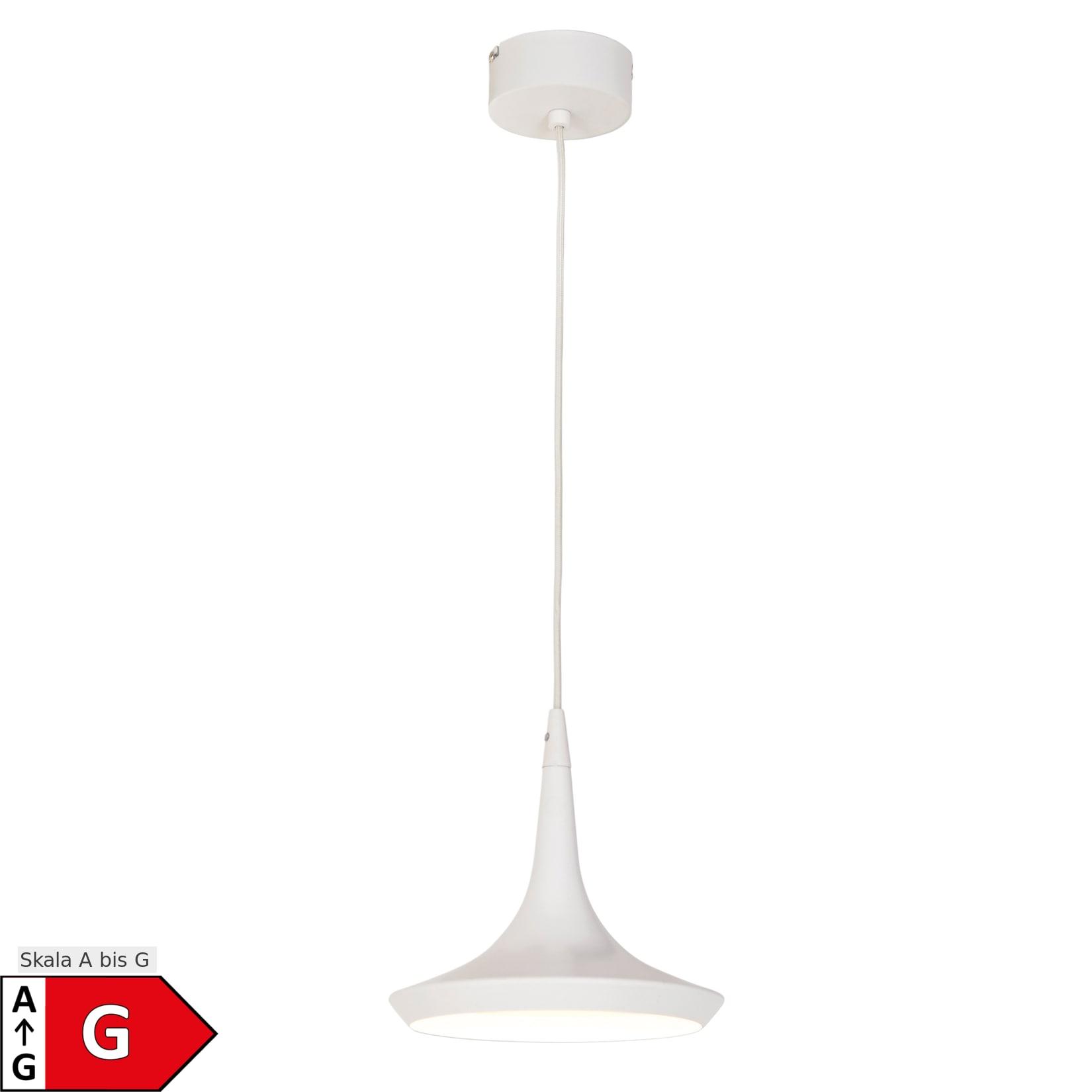 Näve LED Pendelleuchte "OSLO" Ø: 22cm weiß