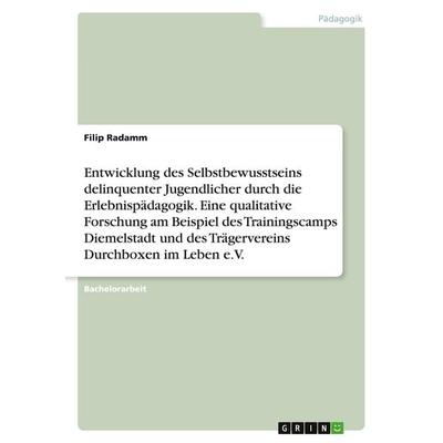 Entwicklung des Selbstbewusstseins delinquenter Jugendlicher durch die Erlebnispädagogik. Eine qualitative Forschung am Beispiel des Trainingscamps