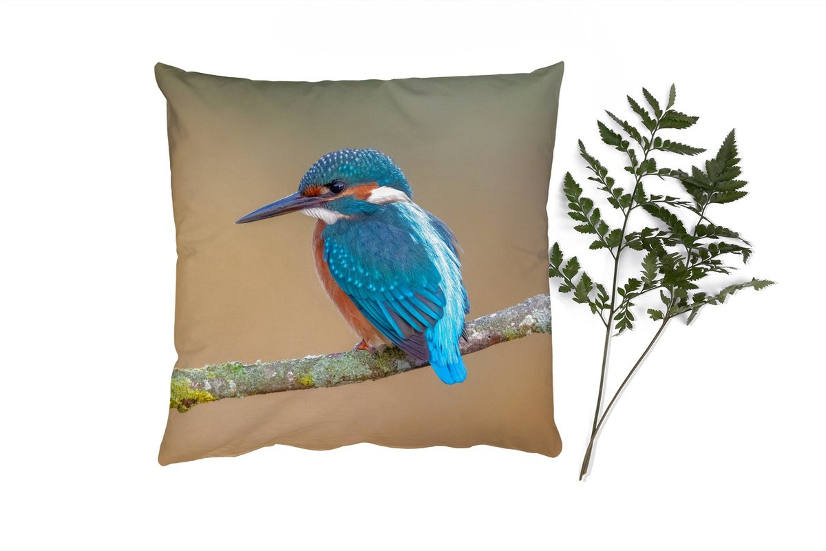 PillowMonkey Sierkussen met IJsvogel op Tak, 50 x 50 cm