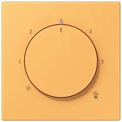 Jung Abdeckung für Thermostat LC 1749 BF 254