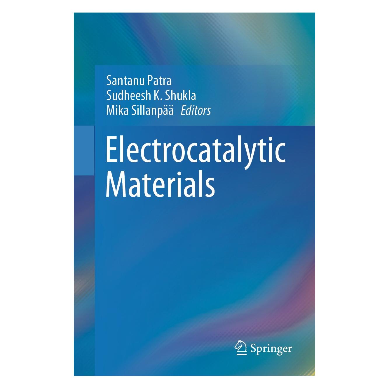 Springer Electrocatalytic Materials (9783031659010)