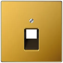 Jung Abdeckung LS 969-1 UA GGO