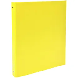 Exacompta, Ordner, Ringbücher (A4, 40 mm)