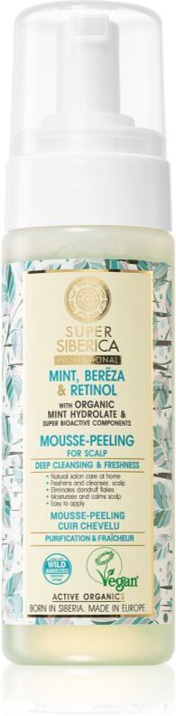 Natura Siberica Mint, Bereza & Retinol Schaum - Peeling für Kopfhaut 170 ml