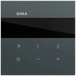 Gira UP-Radio anthrazit lackiert 232073 Basis+zentr Abdeckpl