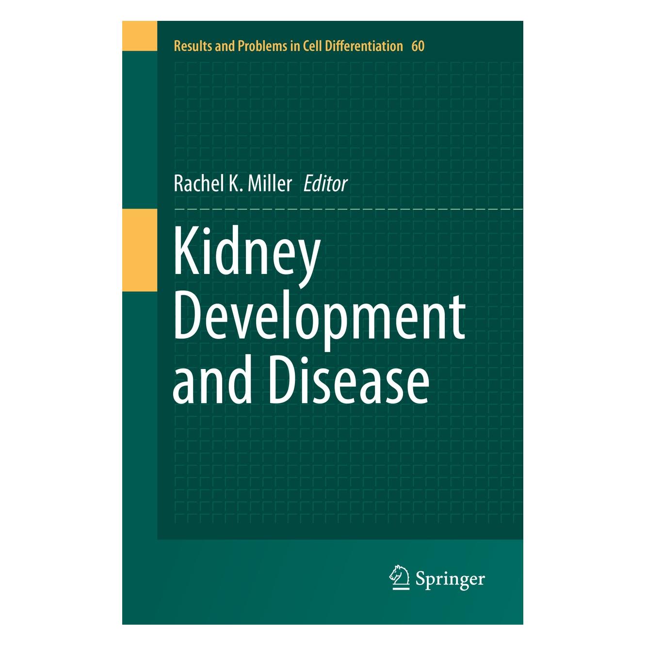 Springer Kidney Development and Disease (Englisch, Hardcover, Rachel K. Miller) (9783319514352)