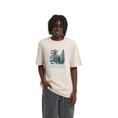 T-Shirt ELEMENT "Watching", Herren, Gr. XS, beige (oat milk), Obermaterial: 100% Baumwolle., Shirts T-Shirt