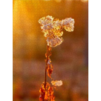 CALVENDO Puzzle Goldrute | 2000 Teile Lege-Größe 90 × 67 cm Foto-Puzzle für glückliche Stunden
