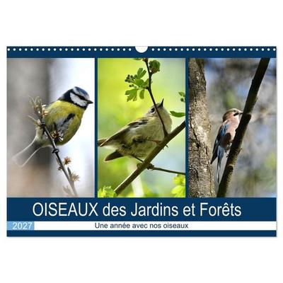 OISEAUX des Jardins et Forêts (Calendrier mural 2027 DIN A3 vertical), CALVENDO calendrier mensuel