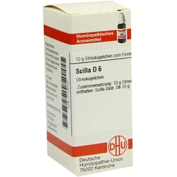 Scilla D 6 10 G
