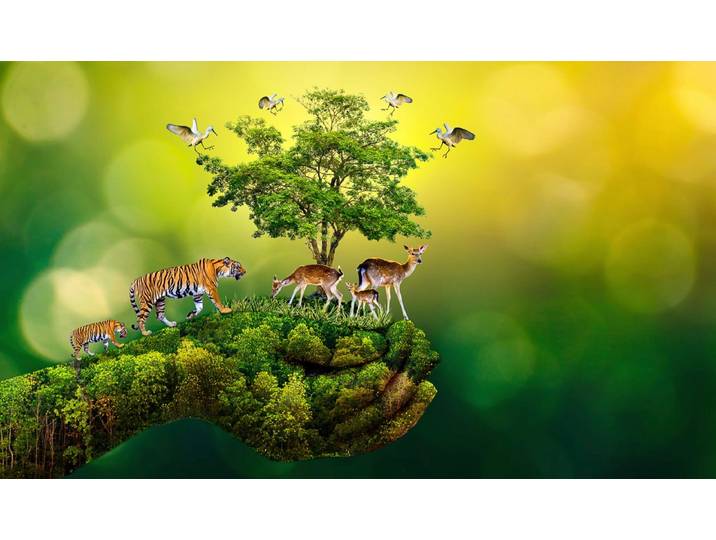 Fototapete PAPERMOON hand mit Baum und Tieren , bunt, B:1,5m L:1,11m, Vlies, Tapeten, Fototapete