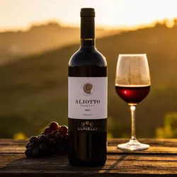 Tenuta Podernovo Aliotto 2022 - Rotwein trocken - Toskana, Italien