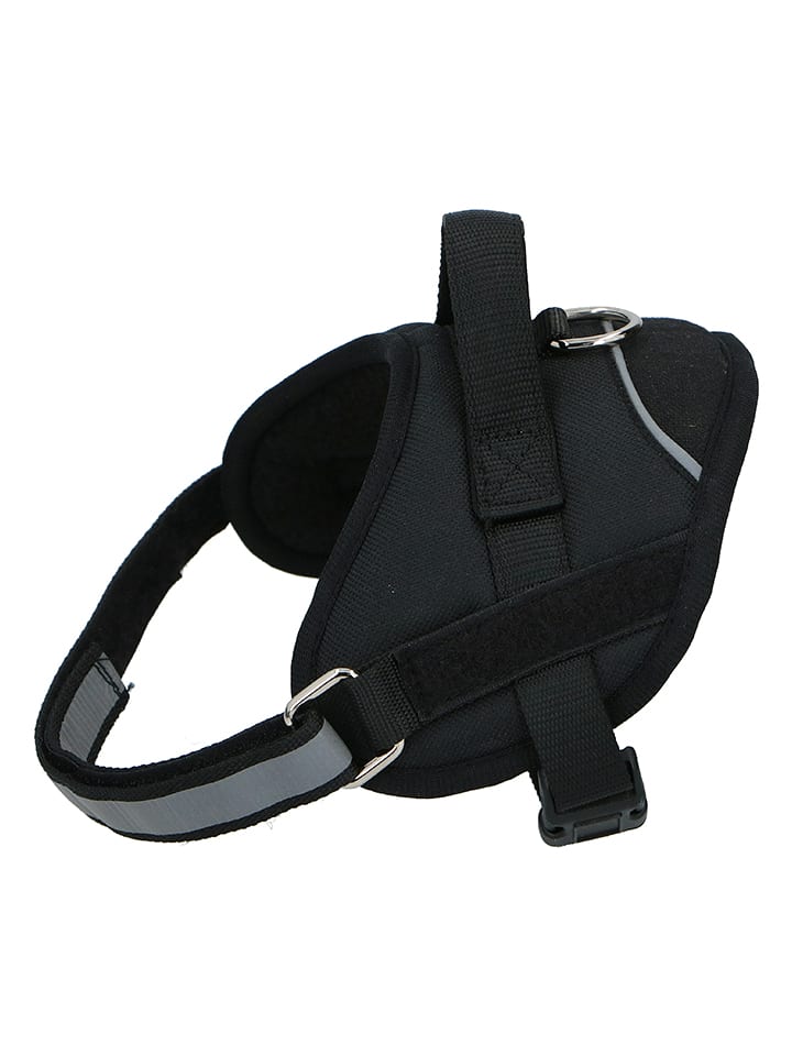 Edco Hundegschirr in Schwarz - XL