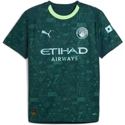 Puma, Herren, Fussballtrikot, MCFC 4th Jersey Replica (L), Grün