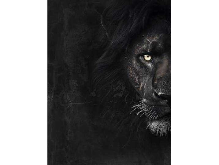 STYLER Leinwandbild Black Lion 60 x 80 cm I Kraftvolles Schwarzer Löwe Porträt Schwarz-Weiß I Wandbild Wohnzimmer Schlafzimmer Büro I Moderne Tiermotiv Wanddeko auf Keilrahmen