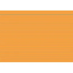RNK Karteikarten A6 liniert 170 g/qm orange VE=100 Stück