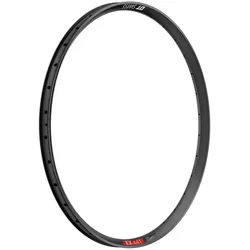DT SWISS Felge 29" EX 441 32 Loch