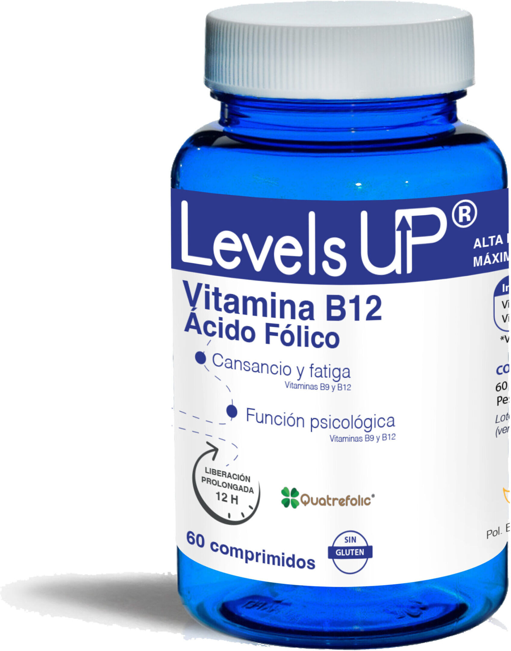 Bioserum Levels Up Vitamin B12 Folic Acid 60 Tablets