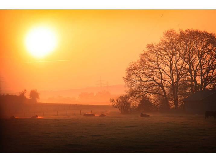 Fototapete PAPERMOON Sonniger nebliger Sonnenaufgang , bunt, B:2,5m L:1,9m, Vlies, Tapeten, Fototapete