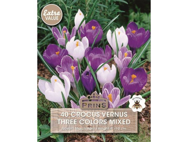 Prins Krokus Mix 40 bollen