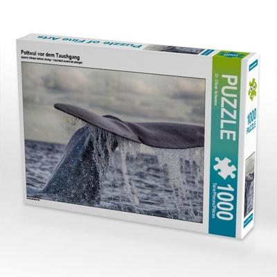 CALVENDO Puzzle Pottwal vor dem Tauchgang | 1000 Teile Lege-Größe 64x48cm Foto-Puzzle für glückliche Stunden