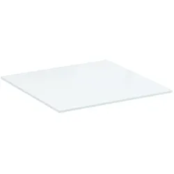 Geberit Xeno2 Glasablage 500523001 45 x 0,8 x 45 cm