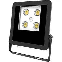 EVN-Lichttechnik, Fassadenbeleuchtung, LED-Fluter (IP65)