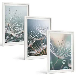 BILDER SET 3er Set - 40x60 cm Weißer Rahmen - Wassertropfen auf Löwenzahnsprossen