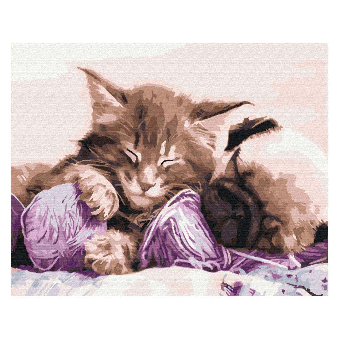 Syma Picture Paint it! Painting by numbers Cat and dog (BS31170)