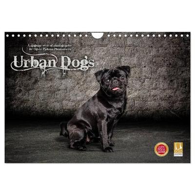 Urban Dogs - Hundekalender der anderen Art (Wandkalender 2027 DIN A4 quer), CALVENDO Monatskalender