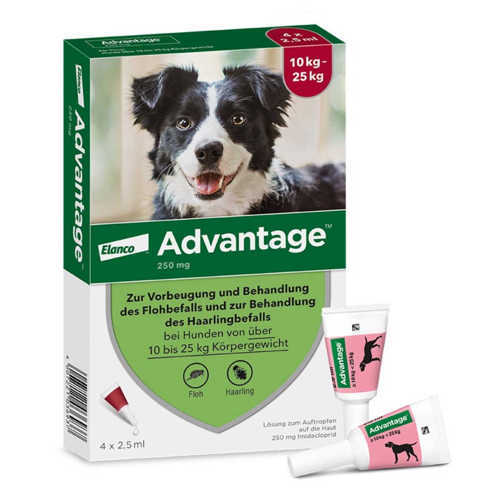 Elanco Deutschland GmbH Advantage Spot-On für Hunde von 10 bis 25 kg Körpergewicht 08613328