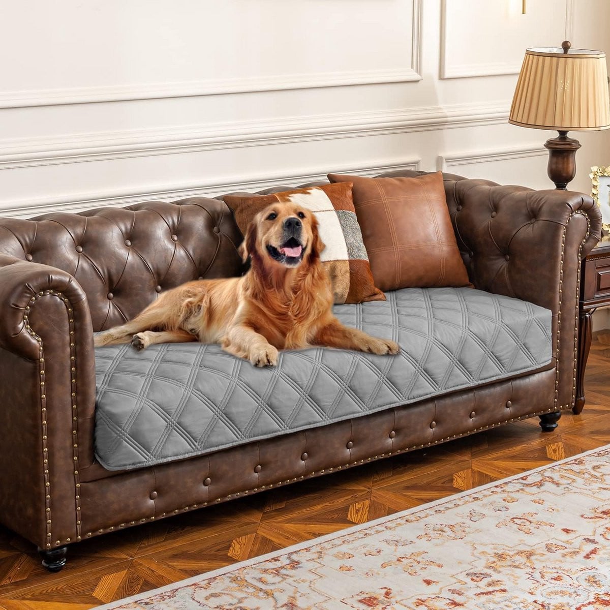 Waterdichte Hondenmand en Bankhoes met Antislip Rug voor Meubels