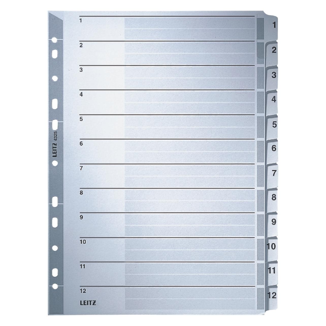 Leitz Register Karton (4325-00-00)