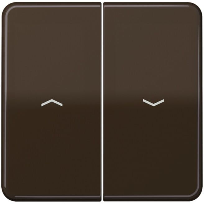 Jung Bascule Symboles br pour bouton-poussoir CD 595 P (CD595PBR)