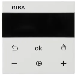 Gira RTR BT System 539427
