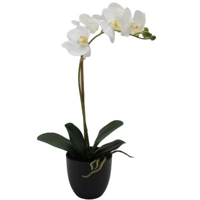 Kunstorchidee CREATIV GREEN "Orchidee Phalaenopsis", weiß, H:45cm, Kunststoff, Kunstpflanzen, mit täuschend echten Blüten