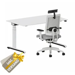 Sedus Home-Office Set 3 - Das professionell ergonomische Set