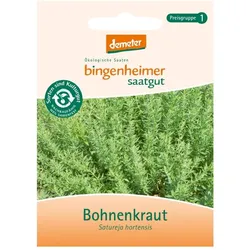 Bohnenkraut - Satureja hortensis
