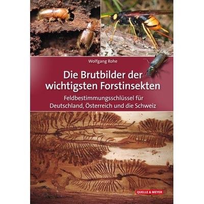 Die Brutbilder der wichtigsten Forstinsekten, Taschenbuch von Wolfgang Rohe, Quelle & Meyer, 978-3-494-01975-8
