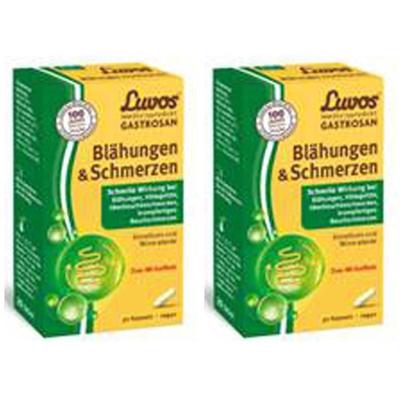Luvos Gastrosan Blähungen & Schmerzen Kapseln 2x 2x30 St