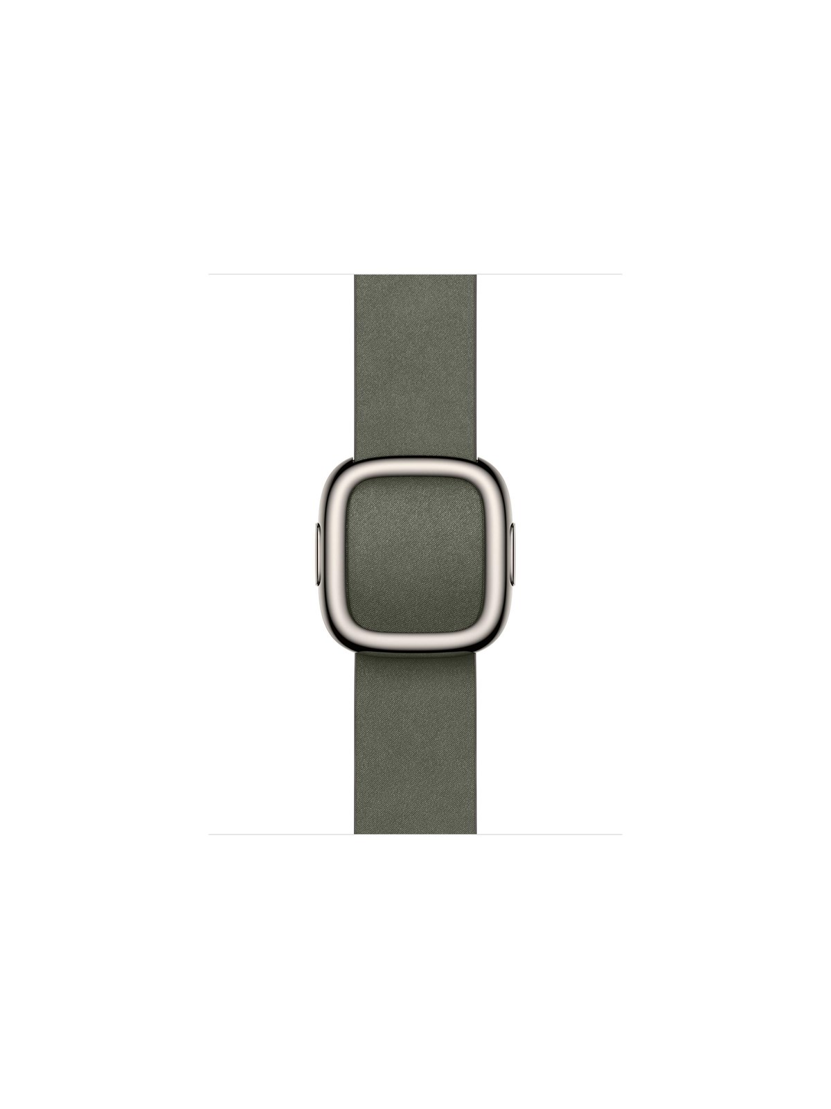 Apple 42mm Sage Gray Modern Buckle - Medium