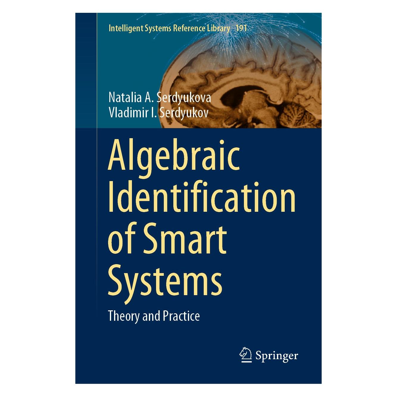Springer Serdyukova:Algebraic Identification of (9783030544690)