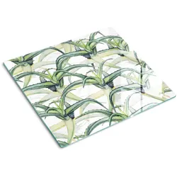 GLASPLATTE 60x52 cm Aloe