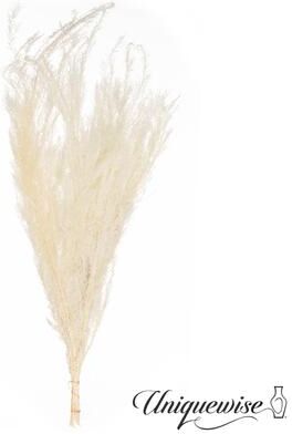 Uniquewise Preserved Real Floral Stems Chic Vase Fillers & Accents for Bouquets Centerpieces & Ornamental Displays