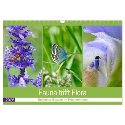 Fauna trifft Flora - Tierischer Besuch im Pflanzenreich (Wandkalender 2026 DIN A3 quer), CALVENDO Monatskalender