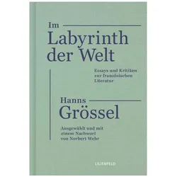 Im Labyrinth der Welt, Belletristik von Hanns Grössel