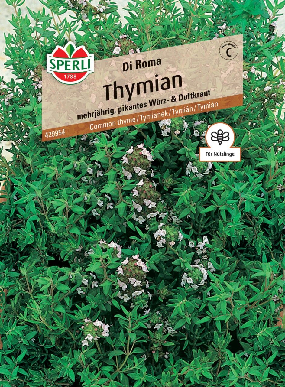 Sperli Thymian Di Roma