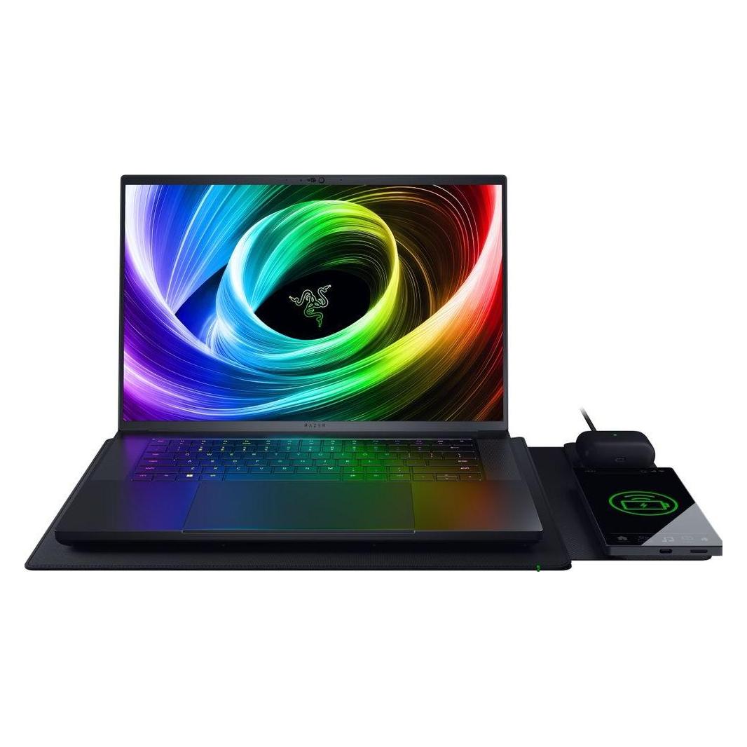Razer Laptop Sleeve (16 Zoll) (16") (RC21-02430100-R3M1)