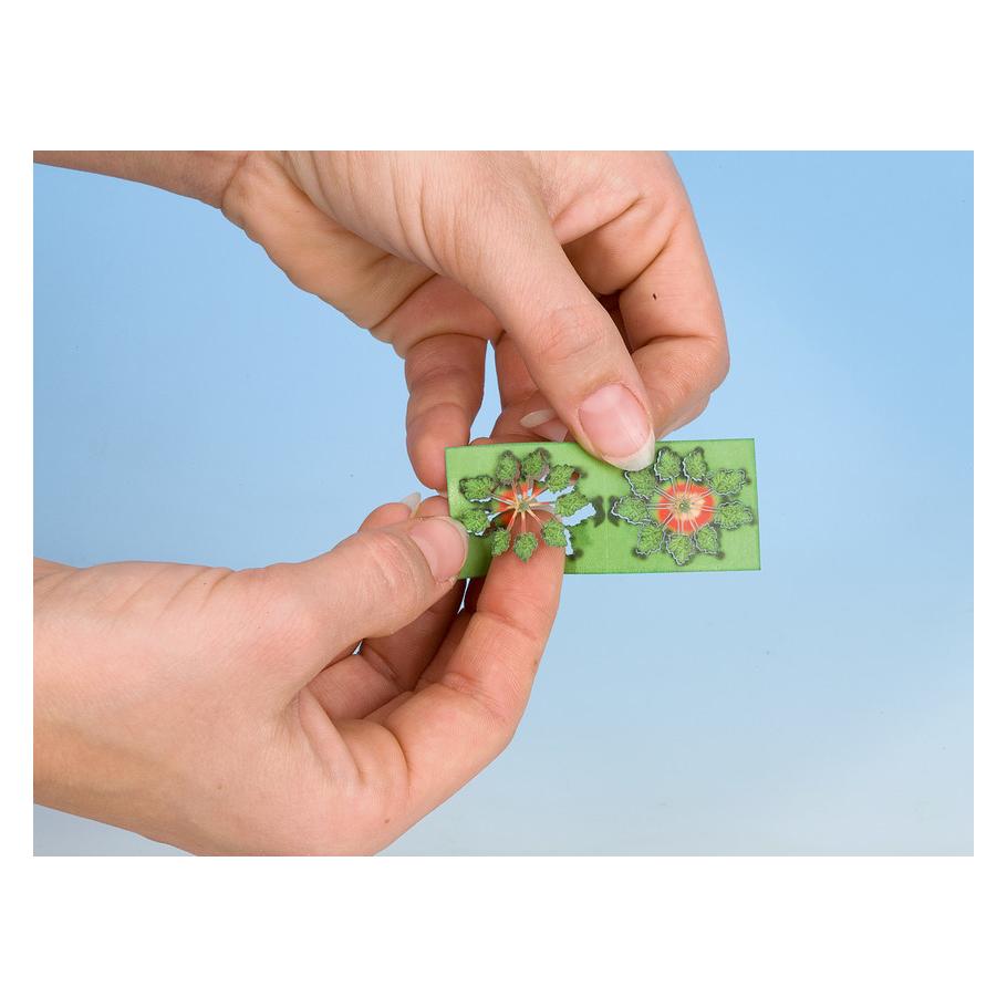 Noch Laser-Cut minis 14608 N Schil (14608)